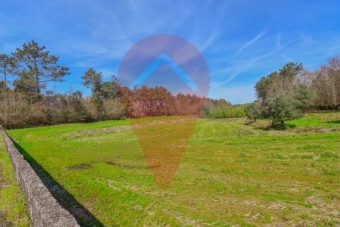 Helårsgrund i Valenca, Viana do Castelo, Valenca - € 99.000 | Ref: TER_218 - foto 4