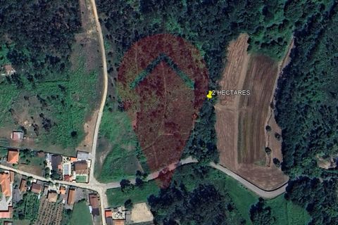 Helårsgrund i Valenca, Viana do Castelo, Valenca - € 99.000 | Ref: TER_218 - foto 5
