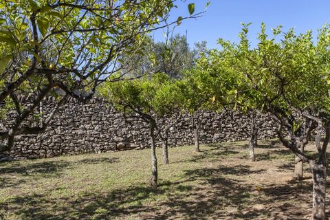 Villa a Oria, Brindisi, Oria - € 1.290.000 | Ref: V618 - foto 18