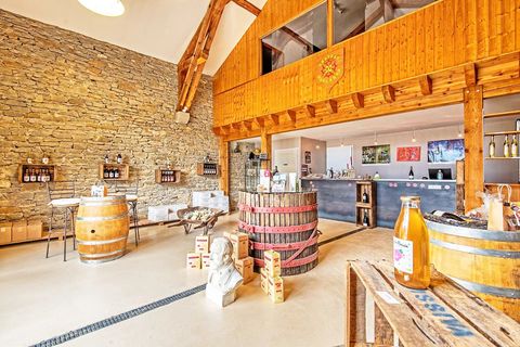 Villa i Carcassonne, Aude, Carcassonne - € 1.908.000 | Ref: BVI59001 - foto 5