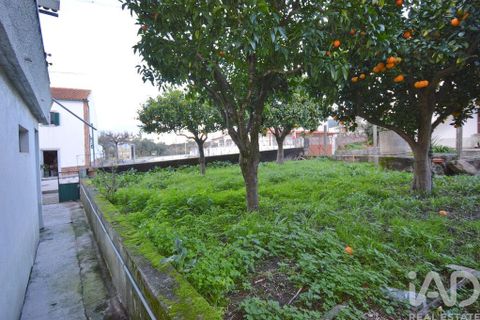 Byhus i Penela, Coimbra, Penela - € 180.000 | Ref: 111043 - foto 22