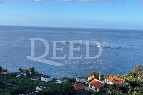 Helårsgrund i Arco da Calheta, Madeira, Arco da Calheta - € 425.000 | Ref: DEED/860 - foto 1