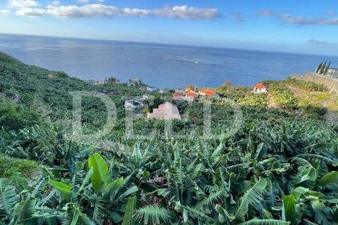 Helårsgrund i Arco da Calheta, Madeira, Arco da Calheta - € 425.000 | Ref: DEED/860 - foto 2