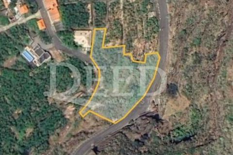 Helårsgrund i Arco da Calheta, Madeira, Arco da Calheta - € 425.000 | Ref: DEED/860 - foto 3