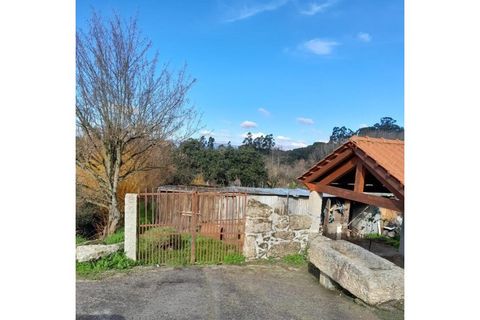 Tomt i Carregal do Sal, Viseu, Carregal do Sal - € 40 000 | Ref: SALI0162 - foto 4