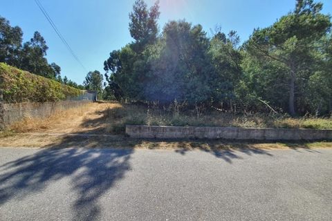 Helårsgrund i Oliveira do Conde, Viseu, Oliveira do Conde - € 25.000 | Ref: SALI0016 - foto 2