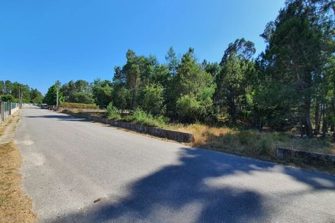 Helårsgrund i Oliveira do Conde, Viseu, Oliveira do Conde - € 25.000 | Ref: SALI0016 - foto 4