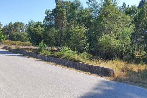 Helårsgrund i Oliveira do Conde, Viseu, Oliveira do Conde - € 25.000 | Ref: SALI0016 - foto 5