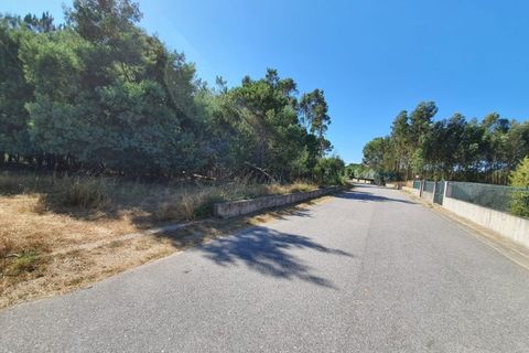 Helårsgrund i Oliveira do Conde, Viseu, Oliveira do Conde - € 25.000 | Ref: SALI0016 - foto 6