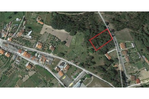 Helårsgrund i Oliveira do Conde, Viseu, Oliveira do Conde - € 25.000 | Ref: SALI0016 - foto 3