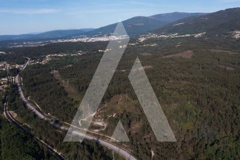 Helårsgrund i Miranda do Corvo, Coimbra, Miranda do Corvo - € 69.900 | Ref: 1121074/24CB - foto 12