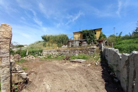 Landejendom i Ponte de Lima, Viana do Castelo, Ponte de Lima - € 50.000 | Ref: REF276 - foto 2