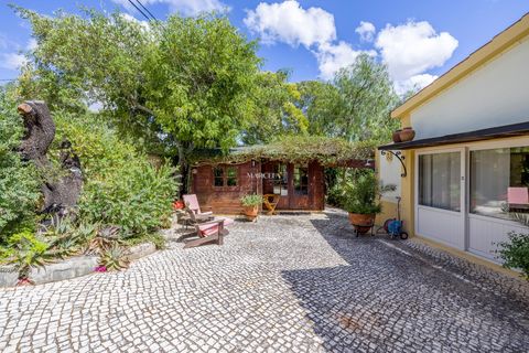 Villa i Lagos, Faro, Lagos - € 995.000 | Ref: AP2037 - foto 44