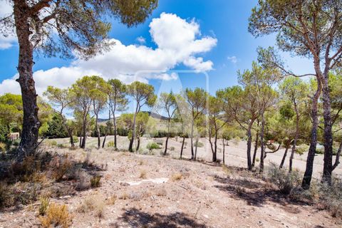 Terra a Calpe, Alicante, Calpe - € 1.600.000 | Ref: PCA4002 - foto 3