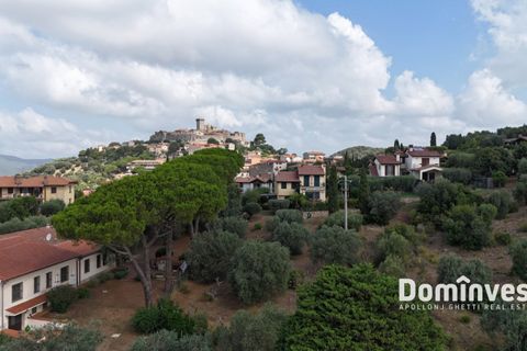 Rækkehus i Capalbio, Grosseto, Capalbio - € 760.000 | Ref: V-0085 - foto 27