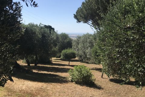 Rækkehus i Capalbio, Grosseto, Capalbio - € 760.000 | Ref: V-0085 - foto 38