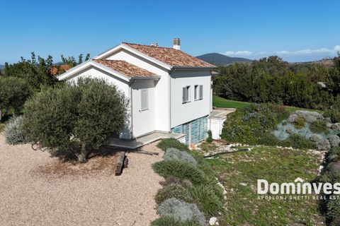Rækkehus i Capalbio, Grosseto, Capalbio - € 760.000 | Ref: V-0085 - foto 44