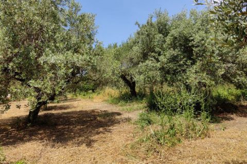 Tomt i Eboli, Salerno, Eboli - € 99 000 | Ref: 508 - foto 2