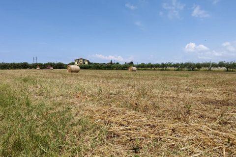 Tomt i Eboli, Salerno, Eboli - € 99 000 | Ref: 508 - foto 4