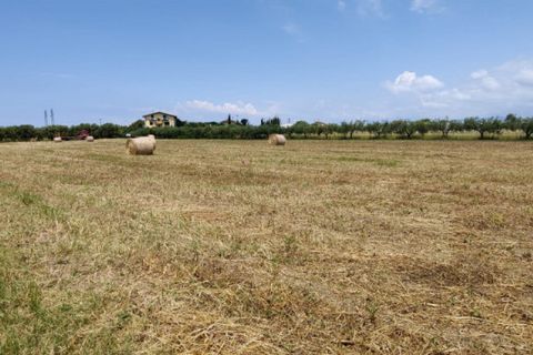 Tomt i Eboli, Salerno, Eboli - € 99 000 | Ref: 508 - foto 5