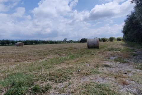 Tomt i Eboli, Salerno, Eboli - € 99 000 | Ref: 508 - foto 7
