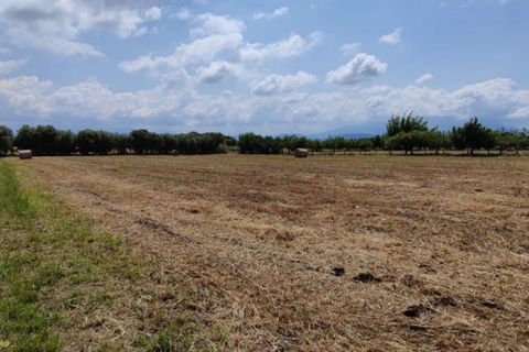 Tomt i Eboli, Salerno, Eboli - € 99 000 | Ref: 508 - foto 9
