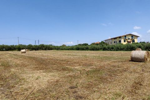 Tomt i Eboli, Salerno, Eboli - € 99 000 | Ref: 508 - foto 11