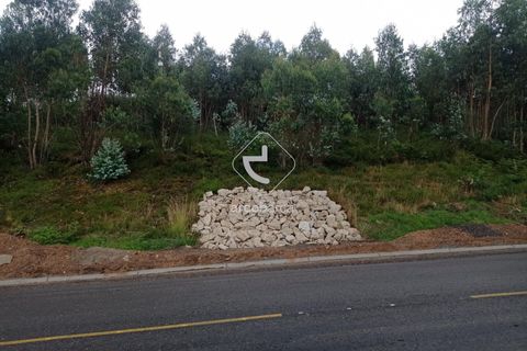 Helårsgrund i Valenca, Viana do Castelo, Valenca - € 160.000 | Ref: AV6025 - foto 2