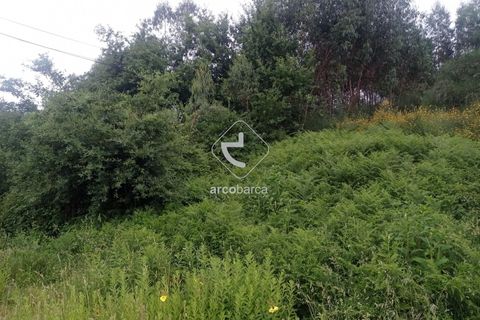 Helårsgrund i Valenca, Viana do Castelo, Valenca - € 160.000 | Ref: AV6025 - foto 3