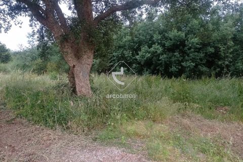 Helårsgrund i Valenca, Viana do Castelo, Valenca - € 160.000 | Ref: AV6025 - foto 4