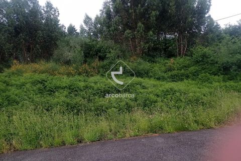 Helårsgrund i Valenca, Viana do Castelo, Valenca - € 160.000 | Ref: AV6025 - foto 5