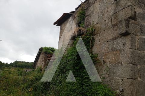 Farm i Guilhufe e urro, Porto, Guilhufe e urro - € 192.000 | Ref: 1360028/24 PN - foto 3