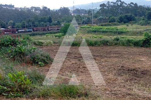 Farm i Guilhufe e urro, Porto, Guilhufe e urro - € 192.000 | Ref: 1360028/24 PN - foto 4