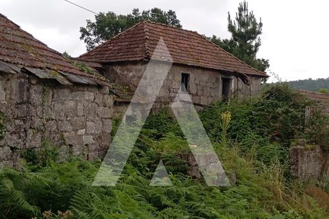 Farm i Guilhufe e urro, Porto, Guilhufe e urro - € 192.000 | Ref: 1360028/24 PN - foto 7