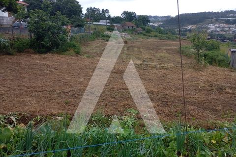 Farm i Guilhufe e urro, Porto, Guilhufe e urro - € 192.000 | Ref: 1360028/24 PN - foto 10
