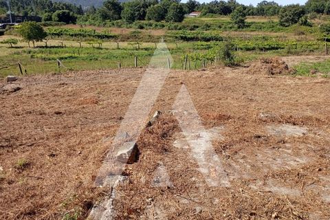 Farm i Guilhufe e urro, Porto, Guilhufe e urro - € 192.000 | Ref: 1360028/24 PN - foto 12
