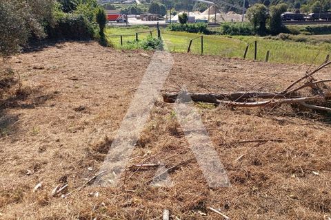 Farm i Guilhufe e urro, Porto, Guilhufe e urro - € 192.000 | Ref: 1360028/24 PN - foto 13