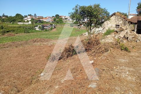 Farm i Guilhufe e urro, Porto, Guilhufe e urro - € 192.000 | Ref: 1360028/24 PN - foto 14