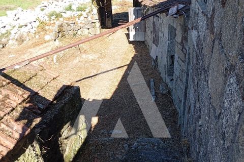 Farm i Guilhufe e urro, Porto, Guilhufe e urro - € 192.000 | Ref: 1360028/24 PN - foto 15