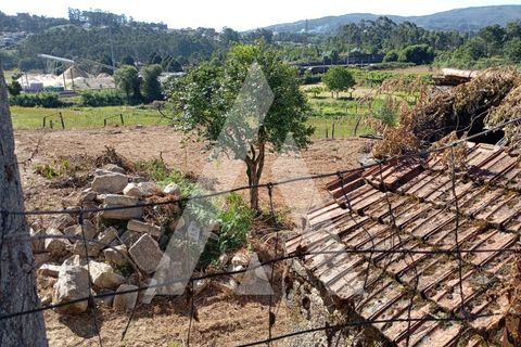 Farm i Guilhufe e urro, Porto, Guilhufe e urro - € 192.000 | Ref: 1360028/24 PN - foto 16