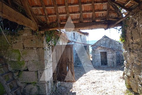 Farm i Guilhufe e urro, Porto, Guilhufe e urro - € 192.000 | Ref: 1360028/24 PN - foto 17