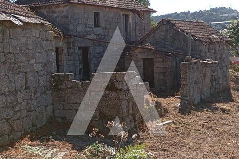 Farm i Guilhufe e urro, Porto, Guilhufe e urro - € 192.000 | Ref: 1360028/24 PN - foto 19
