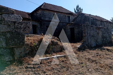 Farm i Guilhufe e urro, Porto, Guilhufe e urro - € 192.000 | Ref: 1360028/24 PN - foto 21