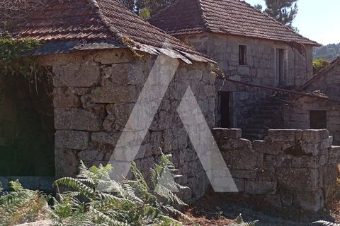 Farm i Guilhufe e urro, Porto, Guilhufe e urro - € 192.000 | Ref: 1360028/24 PN - foto 22