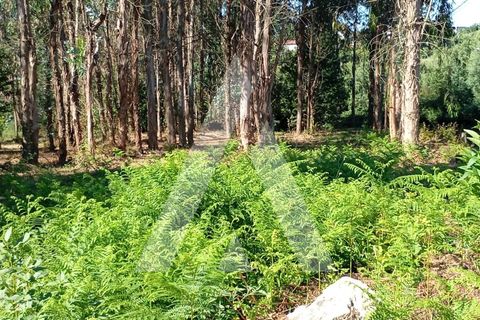 Farm i Guilhufe e urro, Porto, Guilhufe e urro - € 192.000 | Ref: 1360028/24 PN - foto 23