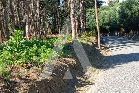 Farm i Guilhufe e urro, Porto, Guilhufe e urro - € 192.000 | Ref: 1360028/24 PN - foto 24