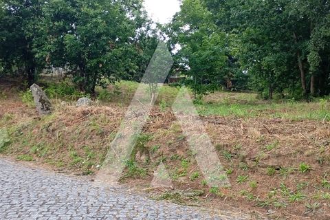 Terra a Guilhufe e urro, Porto, Guilhufe e urro - € 192.000 | Ref: 1360027/24 PN - foto 2