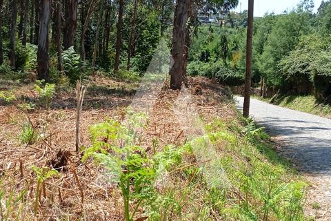 Terra a Guilhufe e urro, Porto, Guilhufe e urro - € 192.000 | Ref: 1360027/24 PN - foto 5