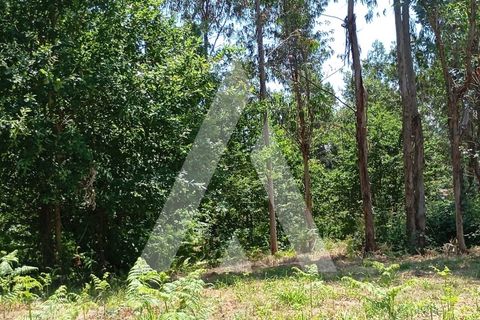 Terra a Guilhufe e urro, Porto, Guilhufe e urro - € 192.000 | Ref: 1360027/24 PN - foto 6