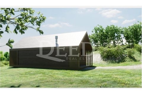 Helårsgrund i Calheta, Madeira, Calheta - € 500.000 | Ref: DEED/866 - foto 11